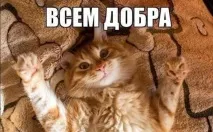 КАРТИНКИ про ПРИКОЛИ з написами СМІШНИМИ до сліз! смішними