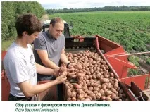 Картоплярство Новгородської області - Журнал - Картопляна система картоплярство