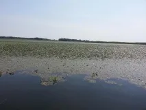 Катастрофа з Дніпром, що вбиває головну річку України. головну