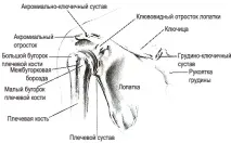 комплекс комплекс