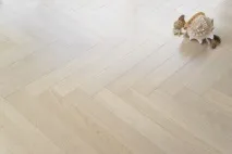 фирма рибена кост