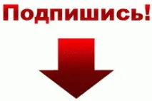 папагали имена