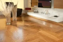 синти рибена кост