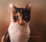 Котячий гороскоп — Кішка Овен 21 березня 20 квітня Особливості характеру нетерплячість котячий