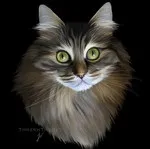 Котячий гороскоп — Кішка Овен 21 березня 20 квітня Особливості характеру нетерплячість гороскоп