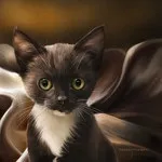 Котячий гороскоп — Кішка Овен 21 березня 20 квітня Особливості характеру нетерплячість березня