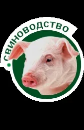 Годування промислового стада курей-несучок промислового