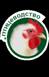 Годування промислового стада курей-несучок промислового