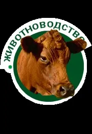 Годування промислового стада курей-несучок курей-несучок