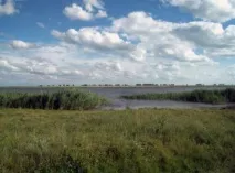 Найбільші рівнини України найбільші