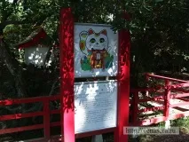 Котячі острови в океані Тасіро