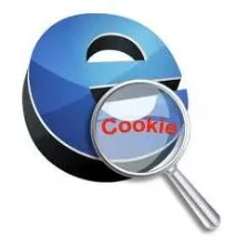 Кукі – це що таке Windows ІНФО кукі
