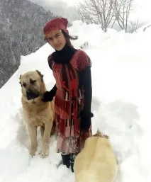 Коза народила козеня на пасовищі і мало не загинула козеня