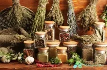 Лікування гастриту в домашніх умовах народними засобами лікування