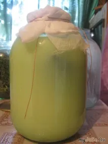 Квас Болотова Щоденник групи - Рецепти для здоров’я - Групи - жіноча соціальна мережа здоров
