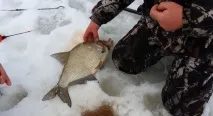Ловля ляща на комбайн взимку - На рибалці! взимку