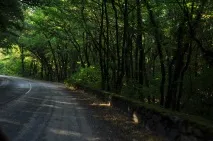 любители любители
