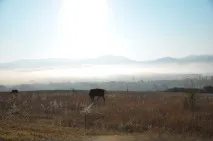 любители любители