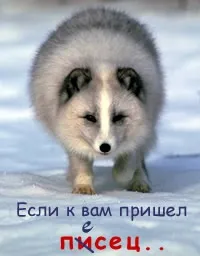 хороскоп Обиден хороскоп