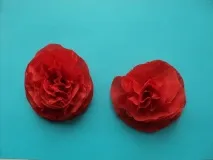 снегирки майсторски