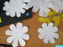 ромашка