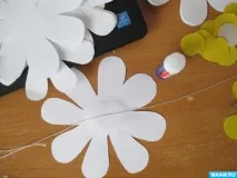 ромашка