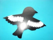 клас клас