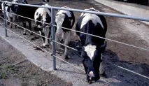 продукти агроинвеститор