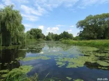 замъкът