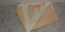 Независимо изследване независимо