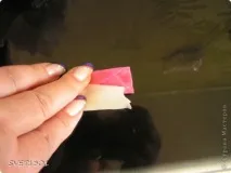 няма няма