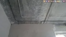 трябва полагане
