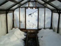 Чи потрібний сніг у теплиці для чого з полікарбонату парник, скільки потрібно накидати, взимку та навесні полікарбонату