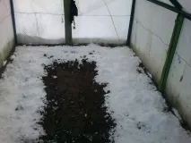 Чи потрібний сніг у теплиці для чого з полікарбонату парник, скільки потрібно накидати, взимку та навесні потрібний
