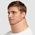 гръбначния