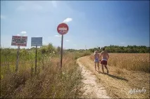 Небезпечна краса краса