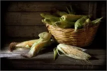 Про кукурудзу кукурудзу