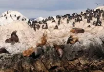 Острови Вогненна Земля протока, фото острови