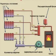 видове основните