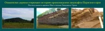 дървета разкриват