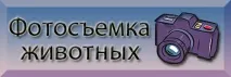 характеристики британците