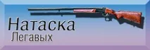английски сетер английския сетер