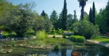 Парк Південні культури в Адлері адреса, як дістатися, опис, відгуки адреса