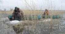 езеро езеро