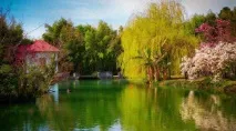 Парк Південні культури в Адлері адреса, як дістатися, опис, відгуки культури