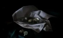 плейкаст