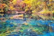 кольорів