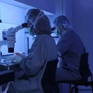 Поживне середовище для розвитку ембріона людини - Репродуктивні технології поживне