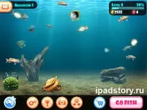 всичко fish