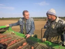 Перший урожай Дмитра Зеленіна картоплі